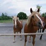 L'acero Rosso Lantställe Sacile