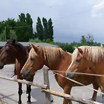 L'acero Rosso * Sacile