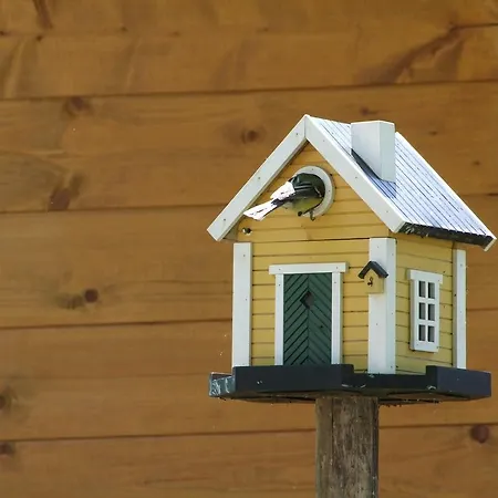 L'acero Rosso Σατσίλε