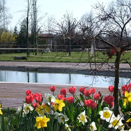 L'acero Rosso Σατσίλε