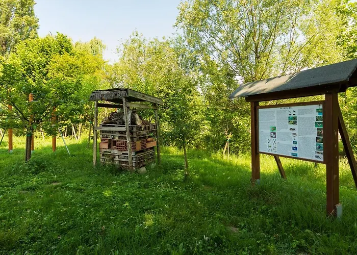 L'acero Rosso Εξοχικό σπίτι Σατσίλε