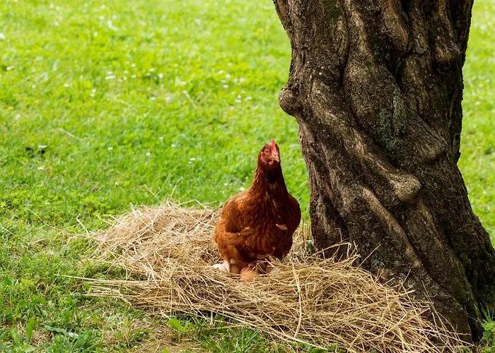 L'acero Rosso Εξοχικό σπίτι