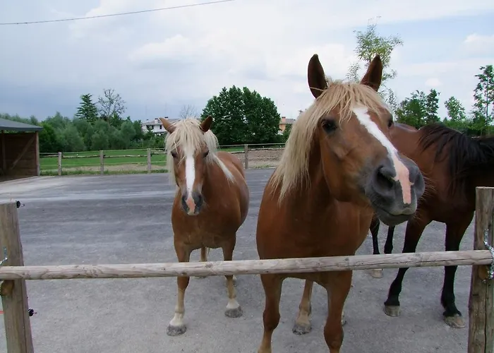 L'acero Rosso Εξοχικό σπίτι Σατσίλε
