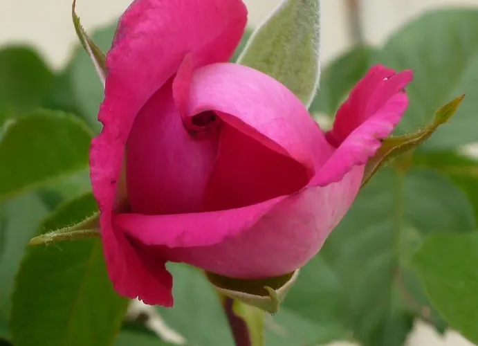 L'acero Rosso Εξοχικό σπίτι