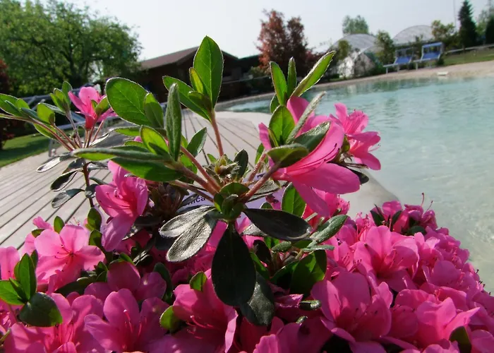 Εξοχικό σπίτι L'acero Rosso